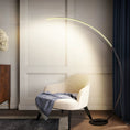 Load image into Gallery viewer, RGBW Modern Curve Floor Lamp | New Version